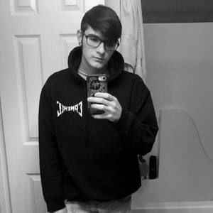 Meet your Posher, Brady